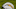 San Diego Chargers San Diego Chargers