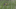 GIF via CJ Fogler on Twitter (@CJZero) GIF via CJ Fogler on Twitter (@CJZero)