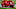 GLENDALE, AZ – SEPTEMBER 03: Arizona Wildcats helmets display the GLENDALE, AZ – SEPTEMBER 03: Arizona Wildcats helmets display the