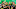 Dortmund have been playing some impressive football under Peter Bosz (HT: Bundesliga) Dortmund have been playing some impressive football under Peter Bosz (HT: Bundesliga)