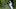 DETROIT, MICHIGAN – JUNE 28: Max Homa plays his shot from the ninth tee during round two of the Rocket Mortgage Classic at the Detroit Country Club on June 28, 2019 in Detroit, Michigan. (Photo by Dylan Buell/2019 Getty Images) DETROIT, MICHIGAN – JUNE 28: Max Homa plays his shot from the ninth tee during round two of the Rocket Mortgage Classic at the Detroit Country Club on June 28, 2019 in Detroit, Michigan. (Photo by Dylan Buell/2019 Getty Images)