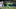 SEATTLE, WA – DECEMBER 15: Tight end Luke Willson #82 of the Seattle Seahawks rushes against the Los Angeles Rams at CenturyLink Field on December 15, 2016 in Seattle, Washington. (Photo by Otto Greule Jr/Getty Images) SEATTLE, WA – DECEMBER 15: Tight end Luke Willson #82 of the Seattle Seahawks rushes against the Los Angeles Rams at CenturyLink Field on December 15, 2016 in Seattle, Washington. (Photo by Otto Greule Jr/Getty Images)