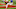 KC Chiefs Kansas City Chiefs