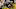 Notre Dame football. (Photo by Jonathan Daniel/Getty Images) Notre Dame football. (Photo by Jonathan Daniel/Getty Images)