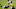 Pittsburgh Steelers, James Conner Pittsburgh Steelers, James Conner