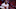 Indiana Pacers Indiana Pacers