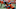 NCAA Football: Senior Bowl NCAA Football: Senior Bowl