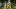 FORT COLLINS, CO – OCTOBER 1: Quarterback Josh Allen