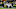 Chicago Bears Chicago Bears