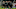 AUGSBURG, GERMANY – JANUARY 18: (BILD ZEITUNG OUT) Erling Braut Haaland of Borussia Dortmund celebrates after scoring his team’s fifth goal with team mates during the Bundesliga match between FC Augsburg and Borussia Dortmund at WWK-Arena on January 18, 2020 in Augsburg, Germany. (Photo by TF-Images/Getty Images)