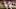 Cleveland Browns Cleveland Browns