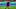 LAFC, Andre Horta