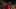 Naby Keita Liverpool Naby Keita Liverpool