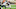 Cleveland Browns Cleveland Browns