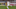Rapids' Danny Wilson Rapids' Danny Wilson