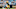 Green Bay Packers Green Bay Packers