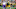 Green Bay Packers Green Bay Packers