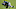 Chicago Bears, Nickell Robey-Coleman Chicago Bears, Nickell Robey-Coleman