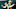 Packers vs. Colts bold predictions Packers vs. Colts bold predictions