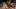 Chicago Bulls, Quinn Cook Chicago Bulls, Quinn Cook