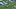 calvinjohnsontouchdown calvinjohnsontouchdown