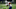 FRISCO, TX – MAY 22: Dallas Cowboys wide receiver Michael Gallup (13) runs upfield during the Dallas Cowboys OTA on May 22, 2019 at The Star in Frisco, TX. (Photo by George Walker/Icon Sportswire via Getty Images) FRISCO, TX – MAY 22: Dallas Cowboys wide receiver Michael Gallup (13) runs upfield during the Dallas Cowboys OTA on May 22, 2019 at The Star in Frisco, TX. (Photo by George Walker/Icon Sportswire via Getty Images)