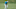 Daily Fantasy Golf Daily Fantasy Golf