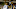 Notre Dame basketball Notre Dame basketball