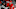 Detroit Red Wings Detroit Red Wings