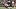 GLENDALE, AZ – OCTOBER 15: Larry Fitzgerald