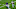 Dallas Cowboys Dallas Cowboys