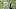 Dallas Cowboys Dallas Cowboys