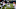 Penn State Football - Sean Clifford Penn State Football - Sean Clifford