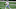 Dallas Cowboys Dallas Cowboys