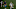 North Carolina Courage, Denise O'Sullivan North Carolina Courage, Denise O'Sullivan