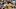 Benny Sieu-USA TODAY Sports Benny Sieu-USA TODAY Sports