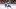 Brandon Carlo (Photo by Minas Panagiotakis/Getty Images) Brandon Carlo (Photo by Minas Panagiotakis/Getty Images)