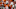 Sep 10, 2016; Austin, TX, USA; Texas Longhorns quarterback Tyrone Swoopes (18) warms up before the game against the University of Texas at El Paso at Darrell K Royal-Texas Memorial Stadium. Mandatory Credit: Erich Schlegel-USA TODAY Sports