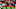 Cleveland Browns Cleveland Browns