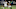 Dallas cowboys Dallas cowboys