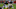 Leonard Floyd Chicago Bears