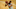 Boston Celtics Boston Celtics