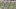 screen-shot-2016-10-25-at-5-37-38-pm