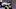 Riley Herbst, NASCAR Riley Herbst, NASCAR