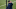 PSG, Mauricio Pochettino PSG, Mauricio Pochettino