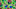 dragon-quest-vi-ios dragon-quest-vi-ios