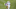 Texas Open, Valero Texas Open, TPC San Antonio, Oaks Course, PGA Tour, FedEx Cup Texas Open, Valero Texas Open, TPC San Antonio, Oaks Course, PGA Tour, FedEx Cup