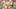 2021 NFL Season 2021 NFL Season