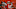 (Photo by Peter Aiken/Getty Images) – Los Angeles Chargers