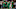 Notre Dame football Notre Dame football